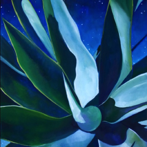 Agave Night
20x16 Agave Night
20x16